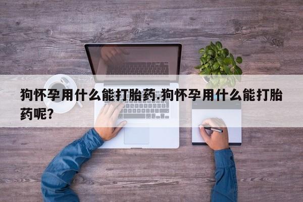 售米非司酮片包邮狗怀孕用什么能打胎药.狗怀孕用什么能打胎药呢？