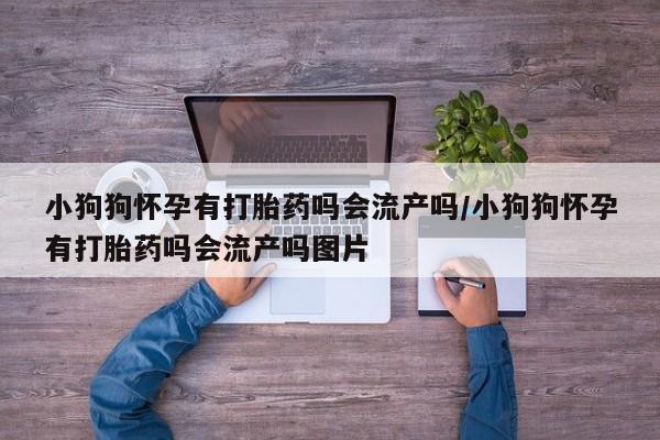 售米非司酮片包邮小狗狗怀孕有打胎药吗会流产吗/小狗狗怀孕有打胎药吗会流产吗图片