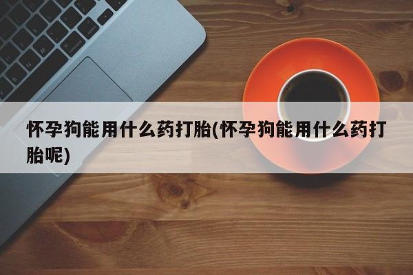 售米非司酮片包邮怀孕狗能用什么药打胎(怀孕狗能用什么药打胎呢)